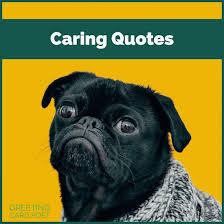30 inspirational quotes that remind us how important self care really is. Caring Quotes So You Will Treat People Better Than They Deserve