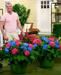 Give your garden the brilliant color of our finest plants and flowers. Pin On Garden Qvc