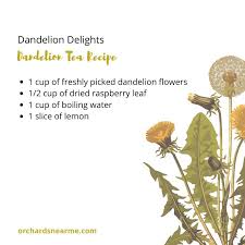 The dried flowers are used to make teas, soaps and salves. Wild Tea Archives Orchards Near Me