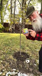 James Batton is a tree lover,...