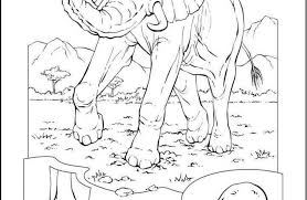 صور حيوانات للتلوين Art Animals Humanoid Sketch
