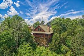 Reserve your douglas lake cabin online with lakefront cabin rentals or call and allow us to help you find the perfect cabin. Eagle S Bluff A Douglas Lake Cabin Rental