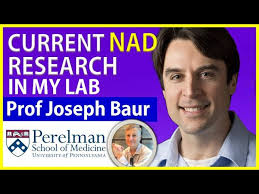 Current NAD Research In My Lab