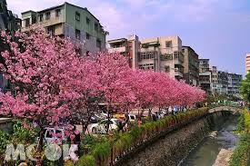 Manage your video collection and share your thoughts. å·¦å²¸æ«»èŠ±æµ·å¥½æµªæ¼«æ·é‹è³žå¤œæ«»æ–°ç†±é»ž Yahooå¥‡æ'©éŠæˆ²é›»ç«¶