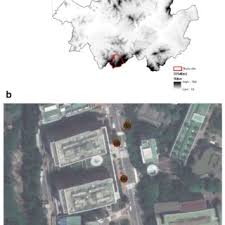 Mengunggah foto anak ke media sosial memang saat ini sepertinya telah menjadi hal yang umum dilakukan oleh orang tua. Pdf The Effects Of Tree Characteristics On Rainfall Interception In Urban Areas