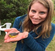 Letter from the President