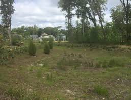 The developer intended to dedicate the retention ponds/lakes to the public (or to the stpg) and the ponds/lakes were designed and constructed according to stpg specifications, more specifically, subdivision ordinance 499. Lessons Learned What Does It Take To Create A More Natural Stormwater Pond The Nature Of Cities
