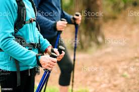 Trekking Para Personas Mayores Con Bastones De Senderismo Foto De Stock Y Mas Banco De Imagenes De Tercera Edad Istock