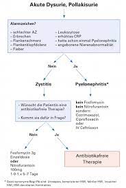 Primary And Hospital Care Akute Blasenentzundung Behandlung Ohne Antibiotika