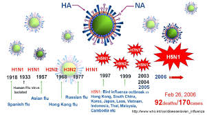 Pin On Influenza