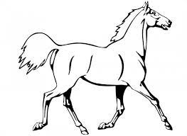 Cheval blanc des animaux nature équine mammifères licorne crinière chevaux. Coloriage Cheval Au Trot Dessin Gratuit A Imprimer