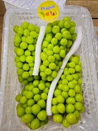 MURANG FRESH FRUITS AVAILABLE SATURDAY (DEC.20,2024) UP TO (DEC.24,2024)  (1) SEEDLESS GRAPES RED- 200/kg (2) GREEN MUSCAT GRAPES