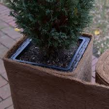 Kokosmatte 0 5m Br Meterware Kalteschutz Winterschutz Fur Pflanzen Pflegeleichter Garten Gartenbedarf Pflanzen
