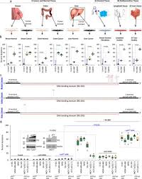 Not only that, but it also acts as a powerful anti inflammatory, immune booster, antioxidant, and organ. The Curcumin Analog Ho 3867 Selectively Kills Cancer Cells By Converting Mutant P53 Protein To Transcriptionally Active Wildtype P53 Journal Of Biological Chemistry