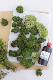 Diy Moosbilder Und Wie Du Ganz Einfach Waldmoos Selber Konservierst Moosbilder Pflanzen Gartenmauer Designs