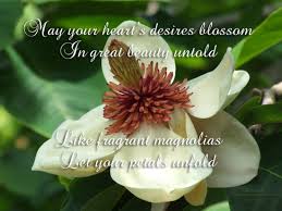 Your dreams and goals are bigger than small minded people or the fears that they harbor. May Your Wishes Come True Quotes
