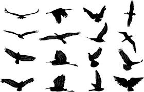 Bird In Flight Silhouette Image Result For Silhouettes Birds In Flight Flores Tatuajes