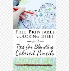 Book of flowers by anniecoloring premium digital art for you! Colored Pencil Coloring Pages Png Image With Transparent Background Toppng
