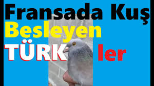 Fransadan Arda Kumesini Ve Guvercinlerini Tanitiyor Cok Tesekkurler Fransa Taklaci Guvercin Kumesi Youtube