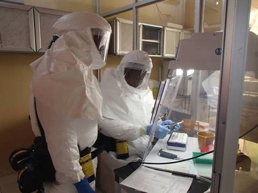 DVIDS - Images - Technician Handles Ebola Samples in Containment Lab [Image  1 of 2]