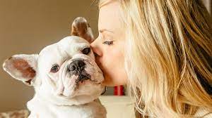 Grieving the loss of a pet cat after euthanasia. The Challenge Of Grieving For A Pet At Work Wsj