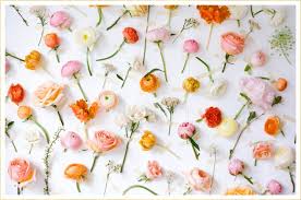 Maybe you would like to learn more about one of these? 14 Flower Wall Ideas For An Unforgettable Wedding Ftd Com