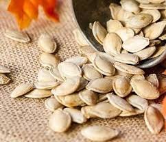 Tips agar labu berbuah banyak. Begini Cara Menanam Labu Kuning Dengan Mudah