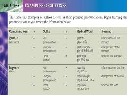 Temporary restraining orderbusiness, drug, law, court, legal system, medical, business. Medical Terminology ØªØ¹Ø±ÙŠÙ Ù…ÙˆØ¬Ø² Ø¨Ù…Ø­ØªÙˆÙŠØ§Øª Ø§Ù„Ù…Ù‚Ø±Ø± ÙŠØºØ·ÙŠ Ù‡Ø°Ø§ Ø§Ù„Ù…Ù‚Ø±Ø± Ø§Ù„Ø£Ø³Ø³ Ø§Ù„ØªØ±ÙƒÙŠØ¨ÙŠØ© Ø§Ù„Ù„ØºÙˆÙŠØ© Ù„Ù„Ù…ÙØ±Ø¯Ø§Øª Ø§Ù„Ø¹Ù„Ù…ÙŠØ© ÙˆØ§Ù„Ø·Ø¨ÙŠØ© ÙÙŠ Ø§Ù„Ù„Ø§ØªÙŠÙ†ÙŠØ© ÙˆØ§Ù„Ø¥Ù†Ø¬Ù„ÙŠØ²ÙŠØ© ØªØ¨ÙŠØ§Ù† Ø§Ù„Ù…ÙØ±Ø¯Ø§Øª Ppt Download