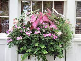 The different levels of flowers and bold mix of shades create a quintessential springtime look. Shade Window Box Ivy Inpatients Caladiums Charleston Sc Window Box Flowers Window Planter Boxes Window Box Plants