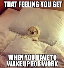Live every day like it's taco tuesday. Thursday Work Memes