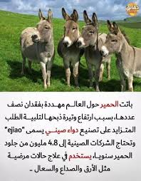 Pin By Taqi Almoswe On Quotes Ex Quotes Arabic Love Quotes Arabic English Quotes