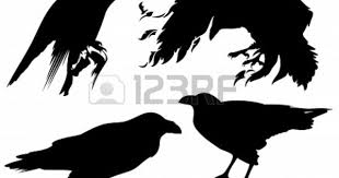 Bird Sitting On Window Sill Meaning Raven Birds Silhouettes Raven Images Raven Pictures Bird Silhouette