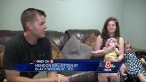 When bitten, two small puncture wounds are usually visible.1 x trustworthy source centers for disease control and prevention main public health institute for the us, run by the dept. Their Child Was Bitten By A Black Widow Spider Here S What They Want Other Parents To Know The Washington Post