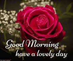 Top 134 Good Morning Wishes With Rose Best Hd Images Good Morning Roses Good Morning Flowers Good Morning Photos