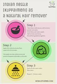 You can use either papaya or turmeric to effectively get rid of any unwanted hair on your body. Indian Nettle Kuppaimeni As Natural Hair Remover Bowl Of Herbs