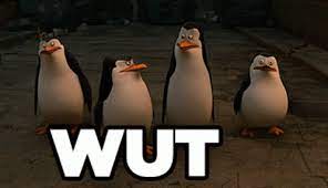 See, rate and share the best penguins of madagascar memes, gifs and funny pics. Penguins Of Madagascar Wut Gif Penguinsofmadagascar Wut What Discover Share Gifs