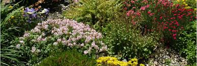 Select from premium lafayette indiana of the highest quality. Parks In Bloom Citywide Bloom Guide Nyc Parks