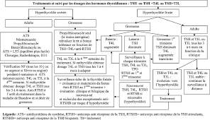 Il faut surveiller la thyréostimuline pour voir si une hypothyroïdie apparaît dans le temps. Place De La Biologie Dans Les Demarches Du Diagnostic Et Du Suivi Therapeutique Des Dysthyroidies Cancerologie Exclue Sciencedirect