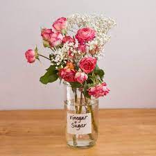 Bleach and sugar in flowers. How To Make Flowers Last Longer Popsugar Smart Living