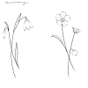 Today i complied easy flower drawings step by step for you. 1