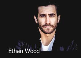 Ethan Wood (Giovanni)