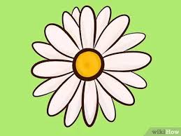 We did not find results for: 9 Ways To Draw A Flower Wikihow
