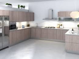 incredible modern kitchen cabinets
