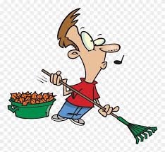 Cartoon tired old white man after raking and bagging. Needed Someone Raking Leaves Rake Gather Leaves Clipart Png Download Full Size Clipart 1298254 Pinclipart