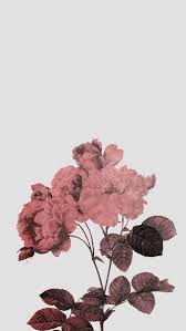 Rose Gold Tumblr Lockscreen Wallpaper Iphone 3d Wallpapers Gold Wallpaper Iphone Rose Gold Wallpaper Gold Wallpaper Aesthetic, indie, pink, rose gold, tumblr, peach bambi. tumblr lockscreen wallpaper iphone