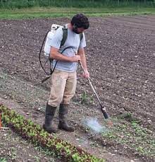 Pin On To Start My Farm
