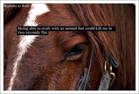 Pin On Horse Girl Problems