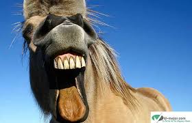 Like us to watch the best videos daily. El Mejor Humor Del Mundo Hasta El 2021 Mejores10 Top