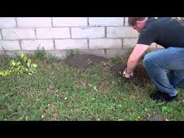 Apr 02, 2021 · by. Giant Destroyer Gopher Gasser Smoke Bomb Youtube