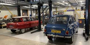 Image result for Brun Guaranja 2011 Citroen